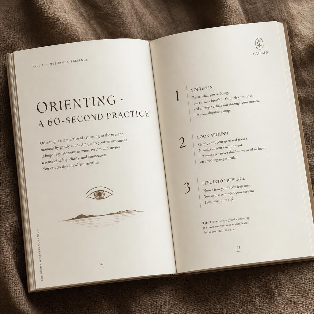 Anxiety Toolkit — color sections