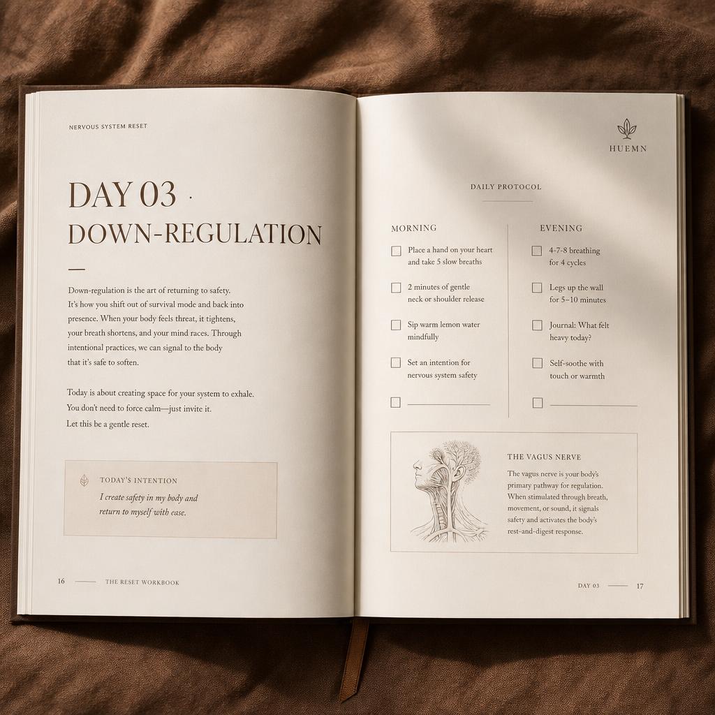 14-Day Burnout Recovery — protocol outline